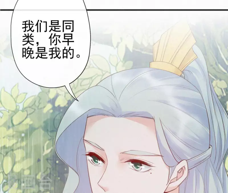 第42话 避子药 第75页