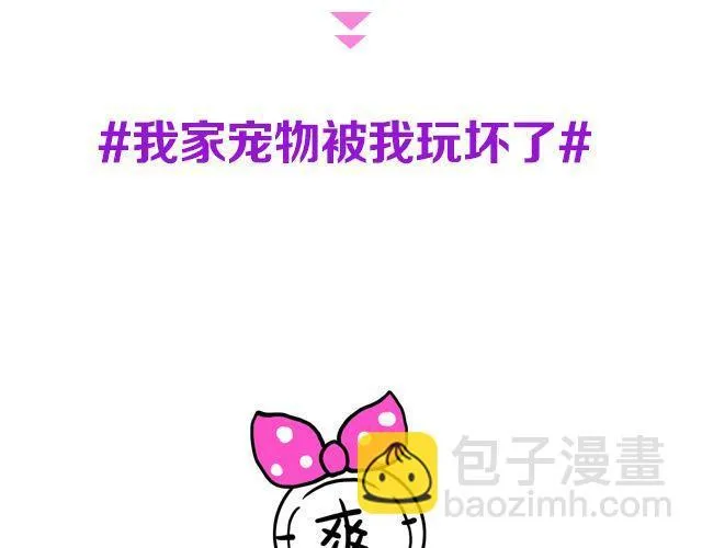 第19期 上墙 | 我家宠物被我玩坏了！ 第2页