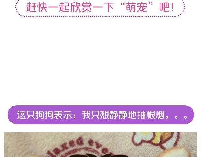 第19期 上墙 | 我家宠物被我玩坏了！ 第4页