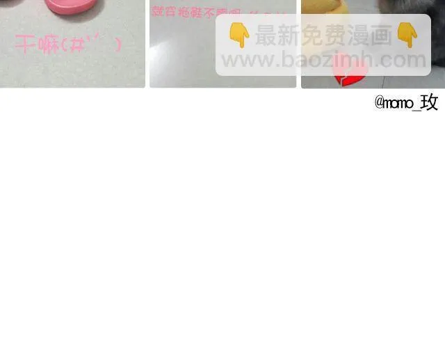 第19期 上墙 | 我家宠物被我玩坏了！ 第12页