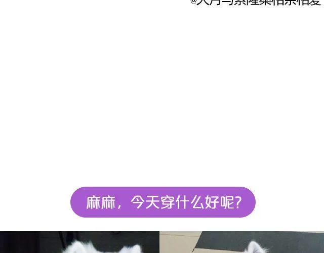 第19期 上墙 | 我家宠物被我玩坏了！ 第18页
