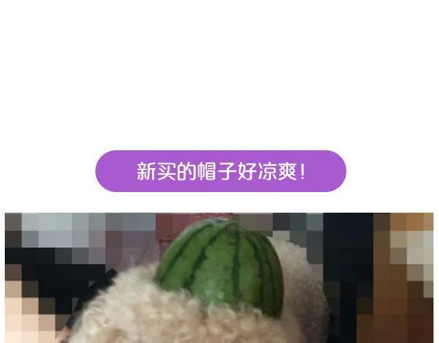 第19期 上墙 | 我家宠物被我玩坏了！ 第20页