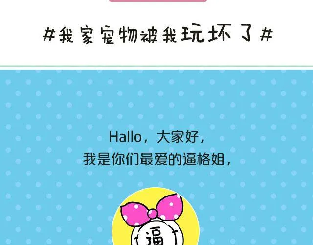 第19期 话题| 我家宠物被我玩坏了！ 第2页