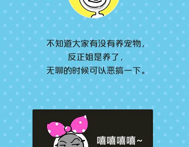 第19期 话题| 我家宠物被我玩坏了！ 第3页