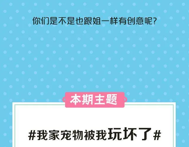 第19期 话题| 我家宠物被我玩坏了！ 第7页