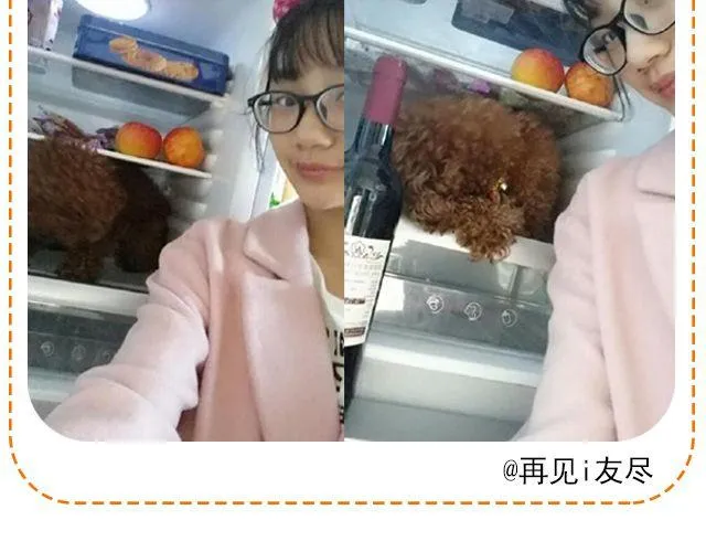 第11期 上墙 | 一张图证明你是吃货 第31页
