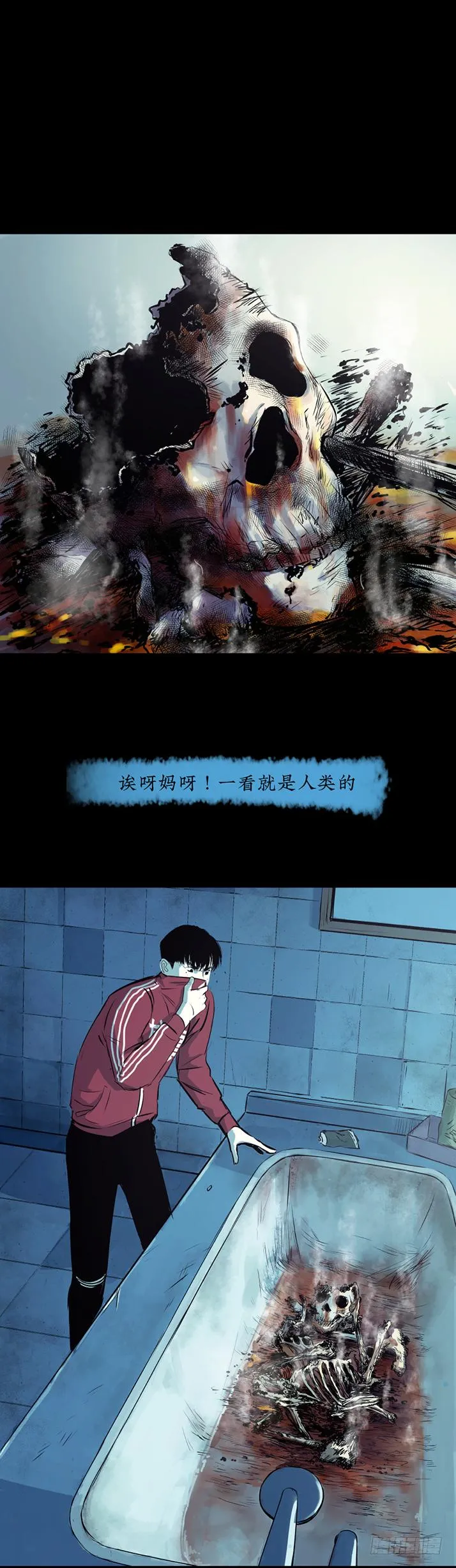 15菜窖捉贼 第3页