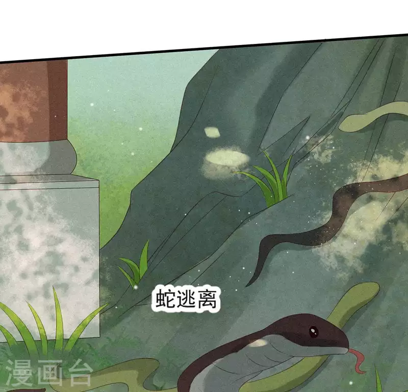 第71话 奇怪的哥哥们 第4页