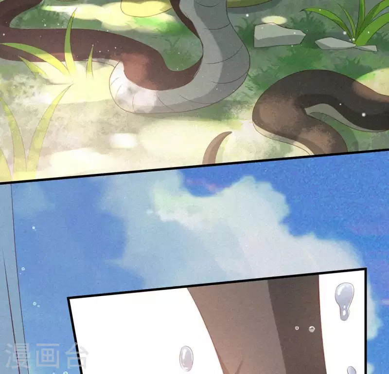 第71话 奇怪的哥哥们 第5页