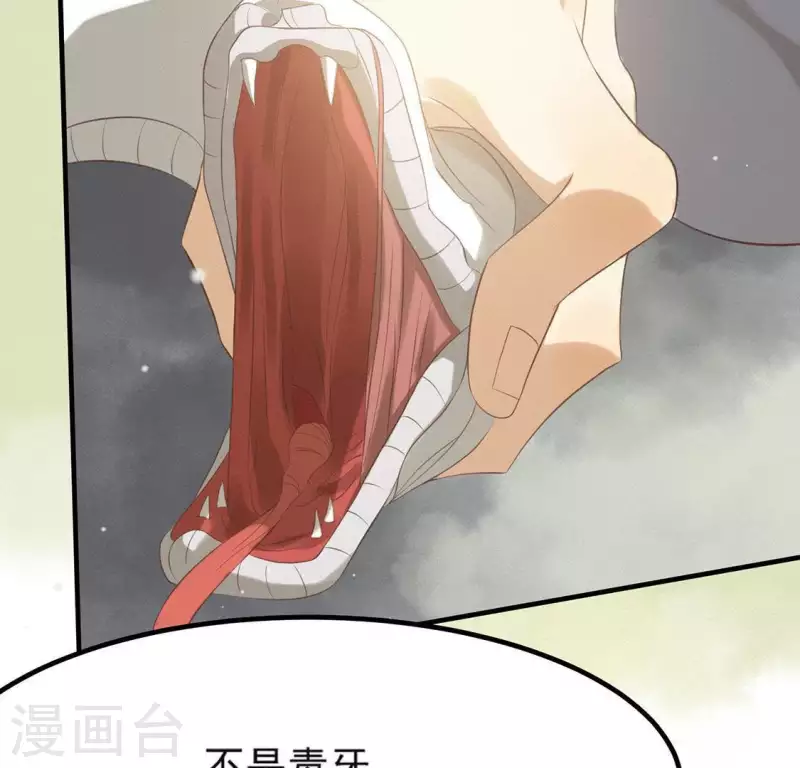 第71话 奇怪的哥哥们 第31页