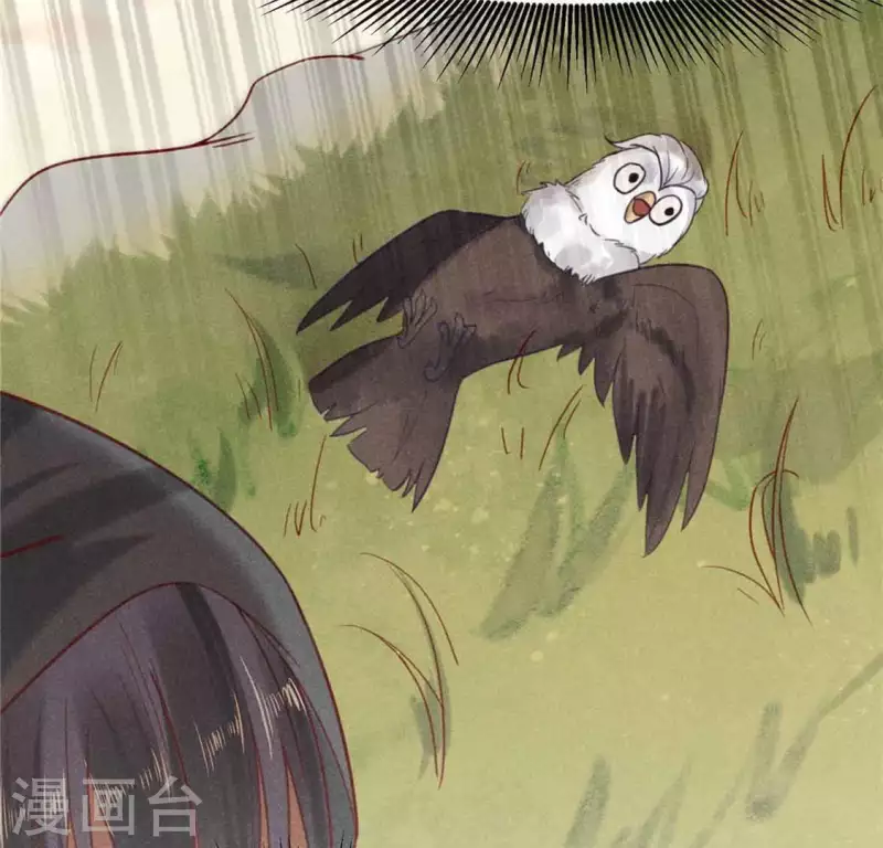 第9话 与吡鹰之战 第71页