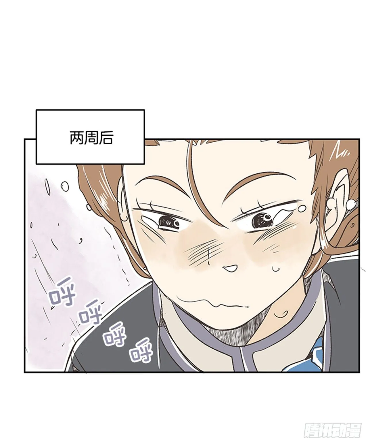 17.照片 第11页