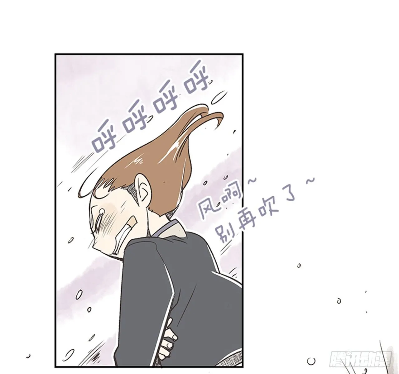 17.照片 第12页