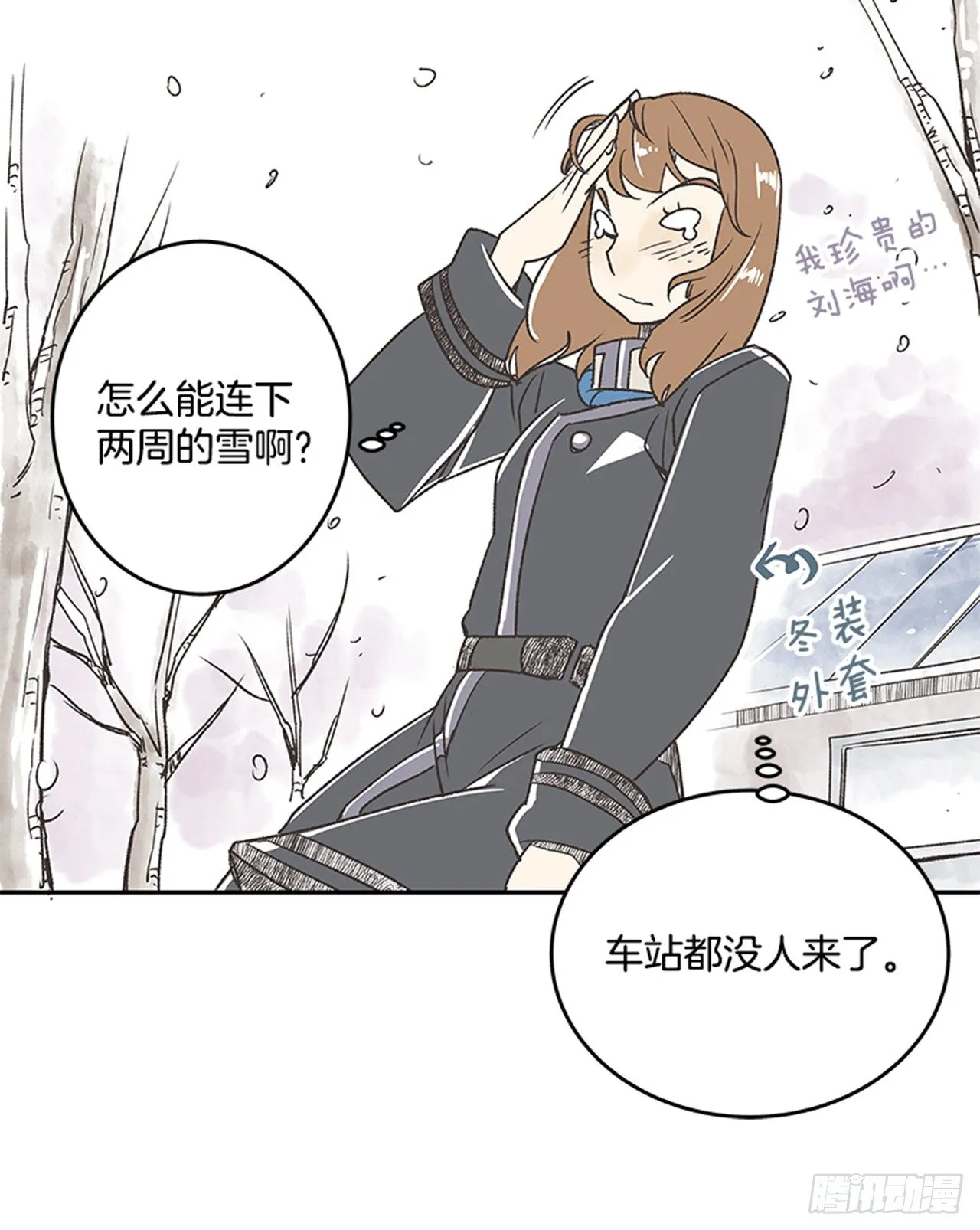 17.照片 第13页