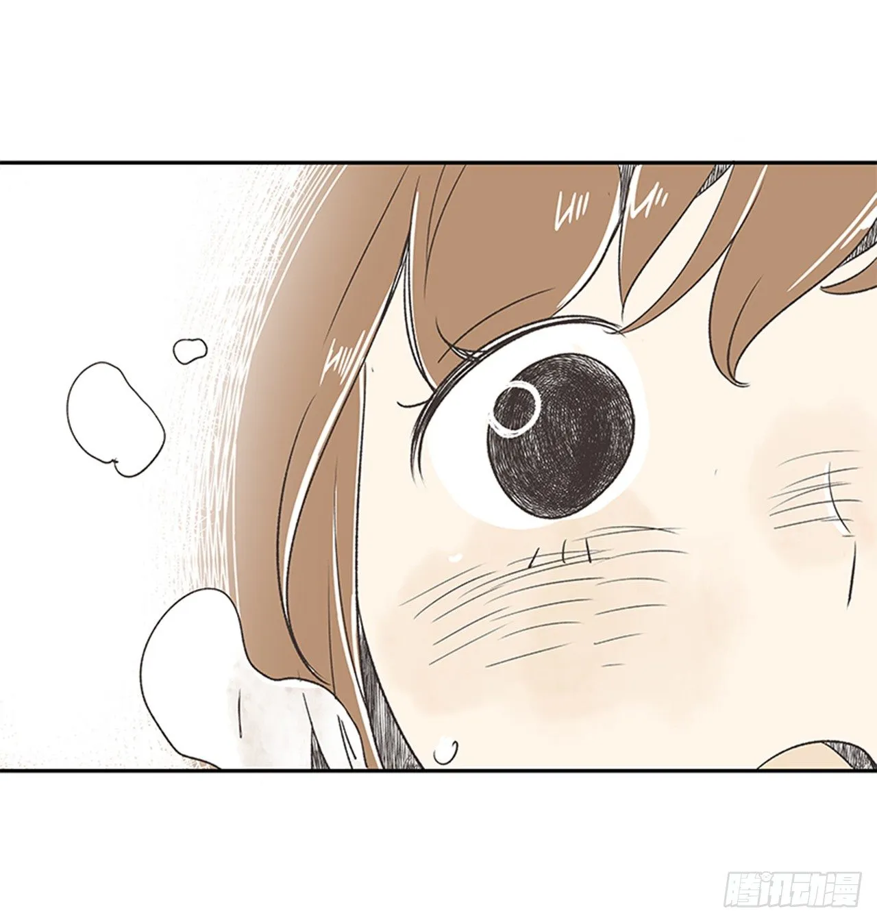17.照片 第17页