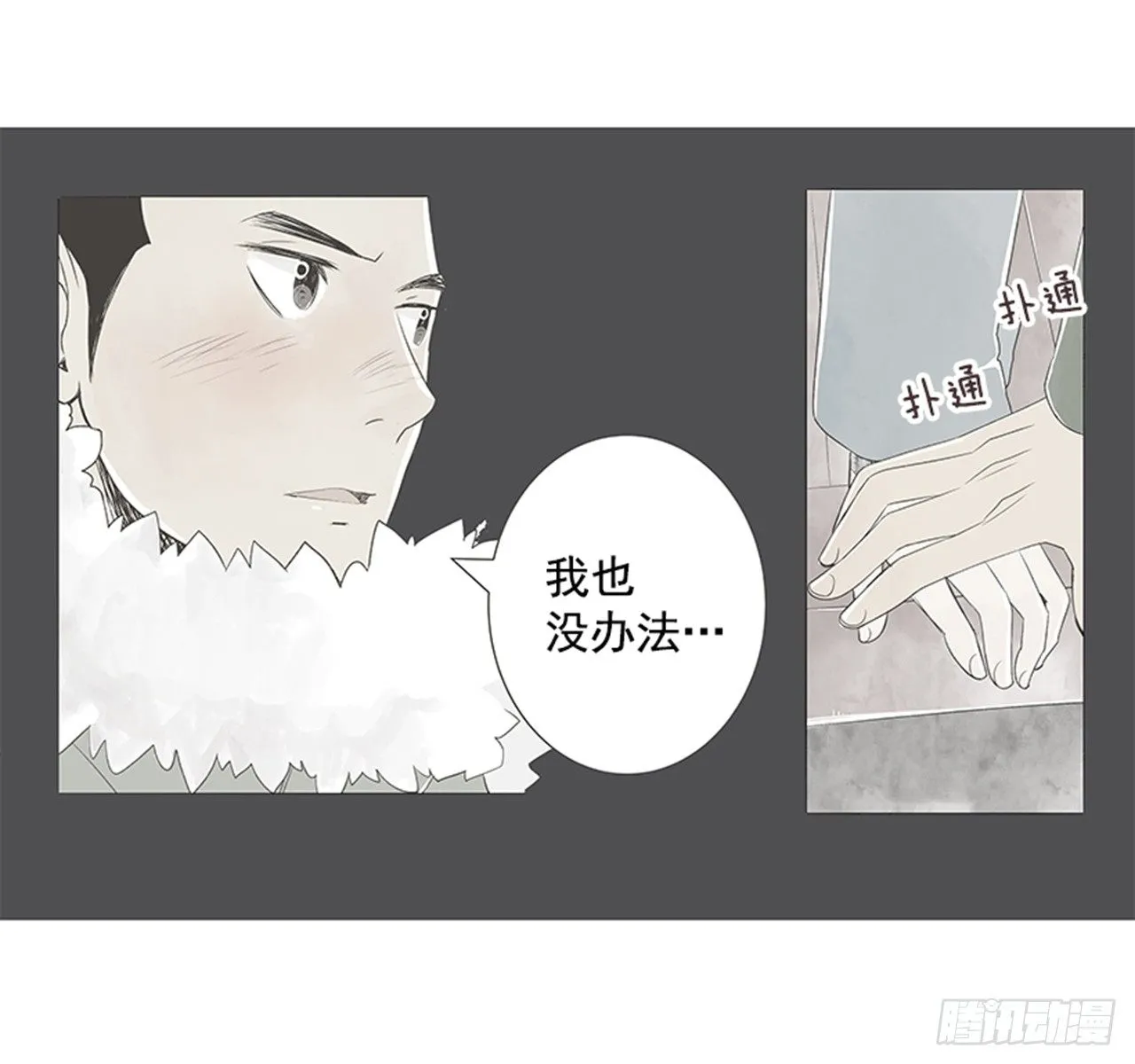17.照片 第23页