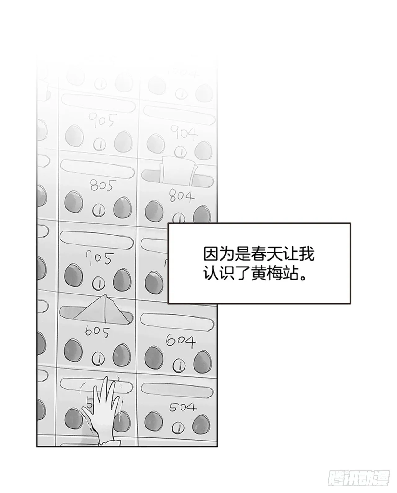 17.照片 第33页