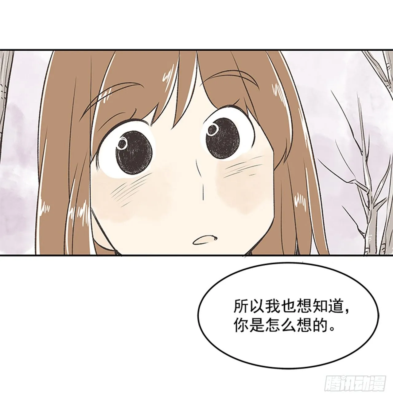 17.照片 第65页