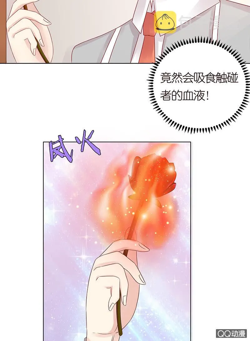 嗜血的玫瑰 第31页