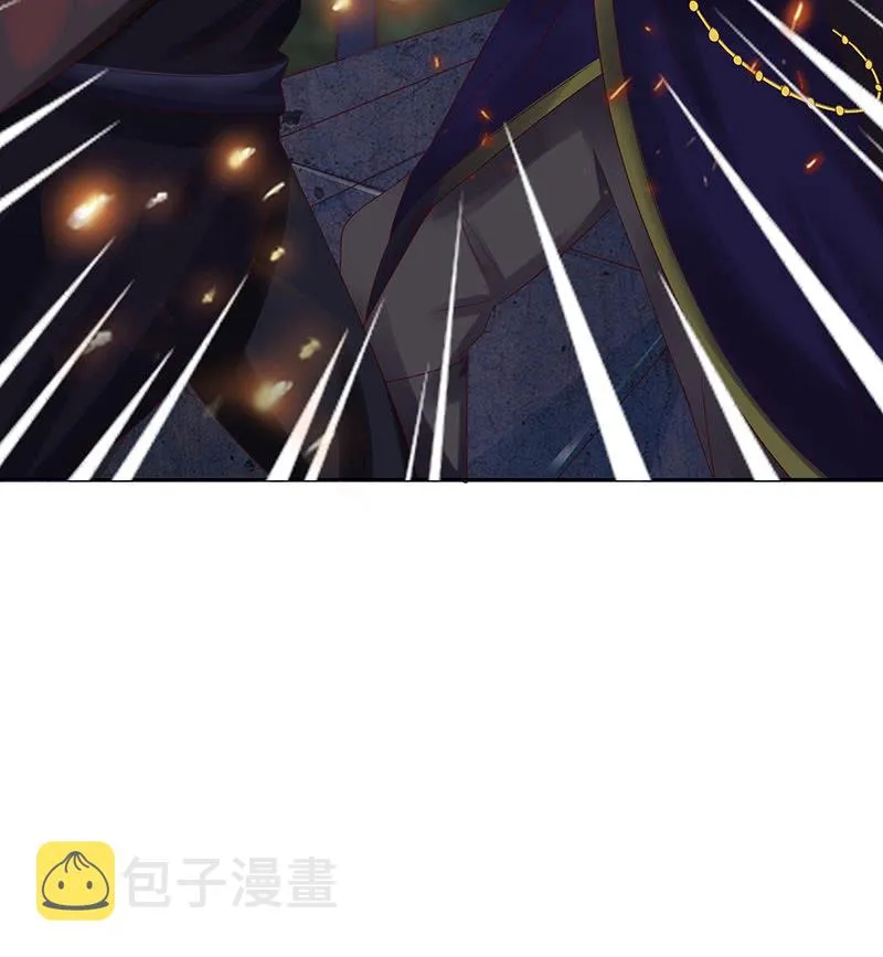 火凤与贪狼 第29页