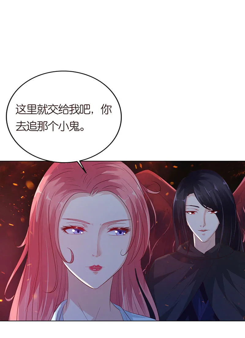 火凤与贪狼 第67页