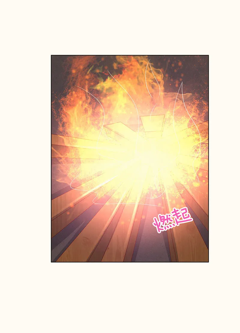 焚身以火 第8页