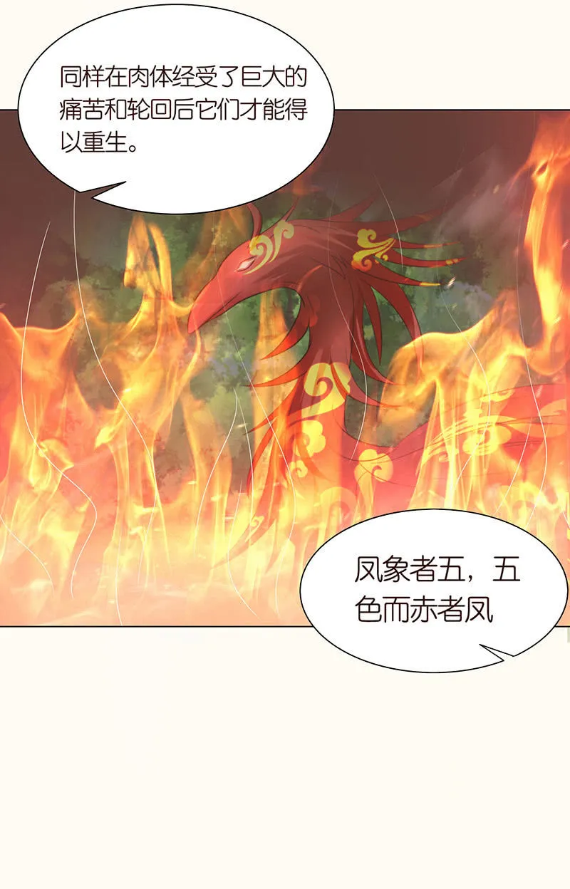 焚身以火 第39页