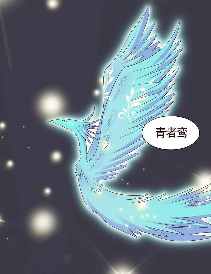 焚身以火 第41页