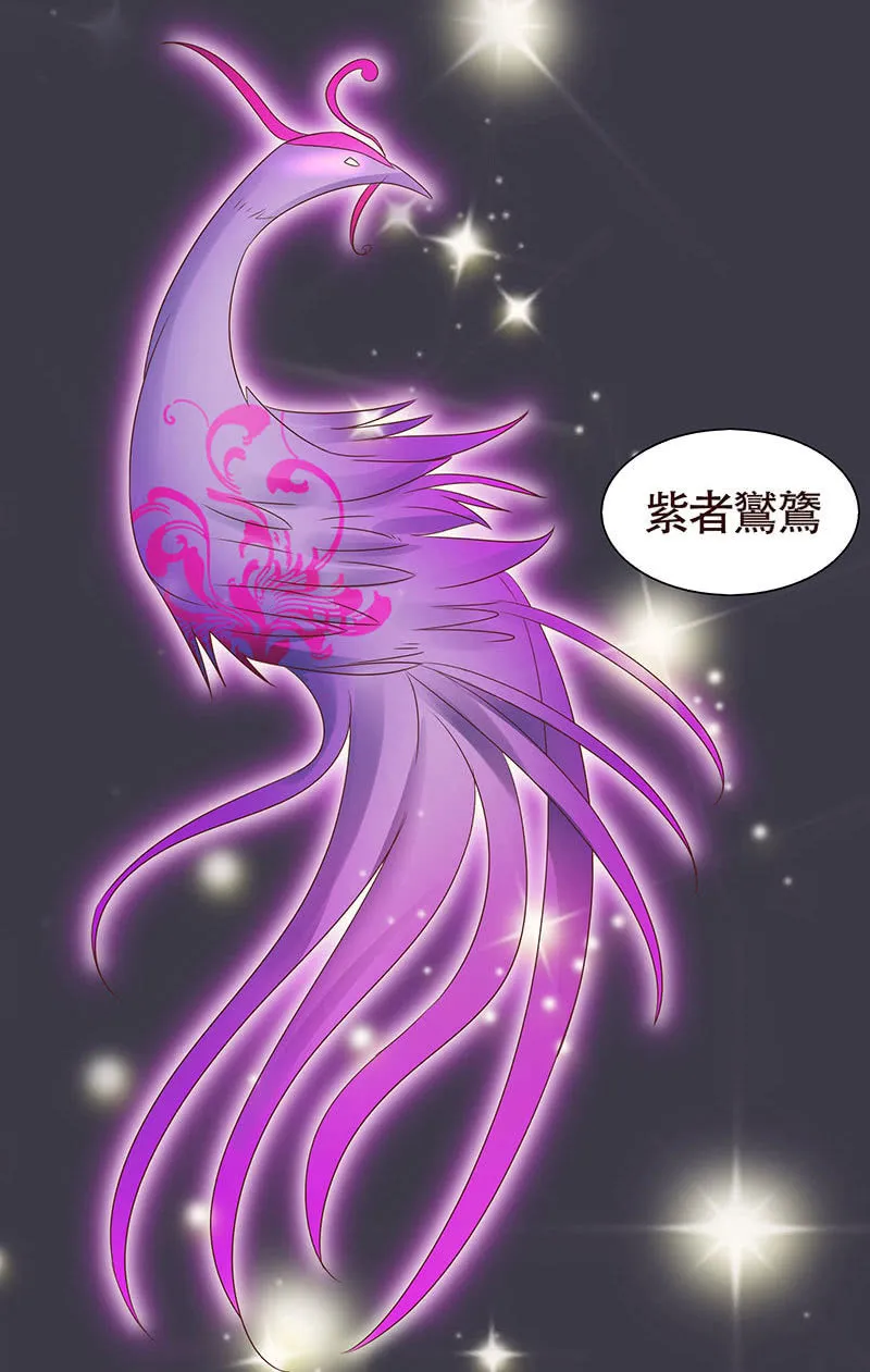 焚身以火 第42页
