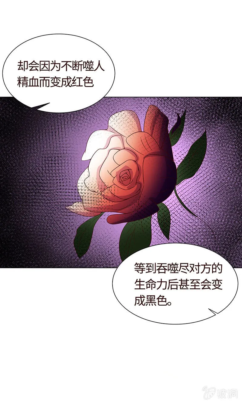 争锋的试探 第37页