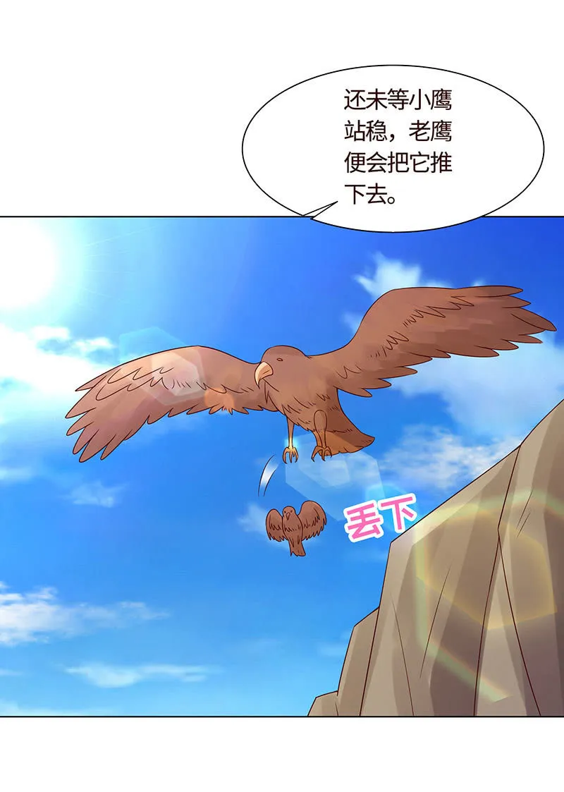 不飞翔就会死 第4页