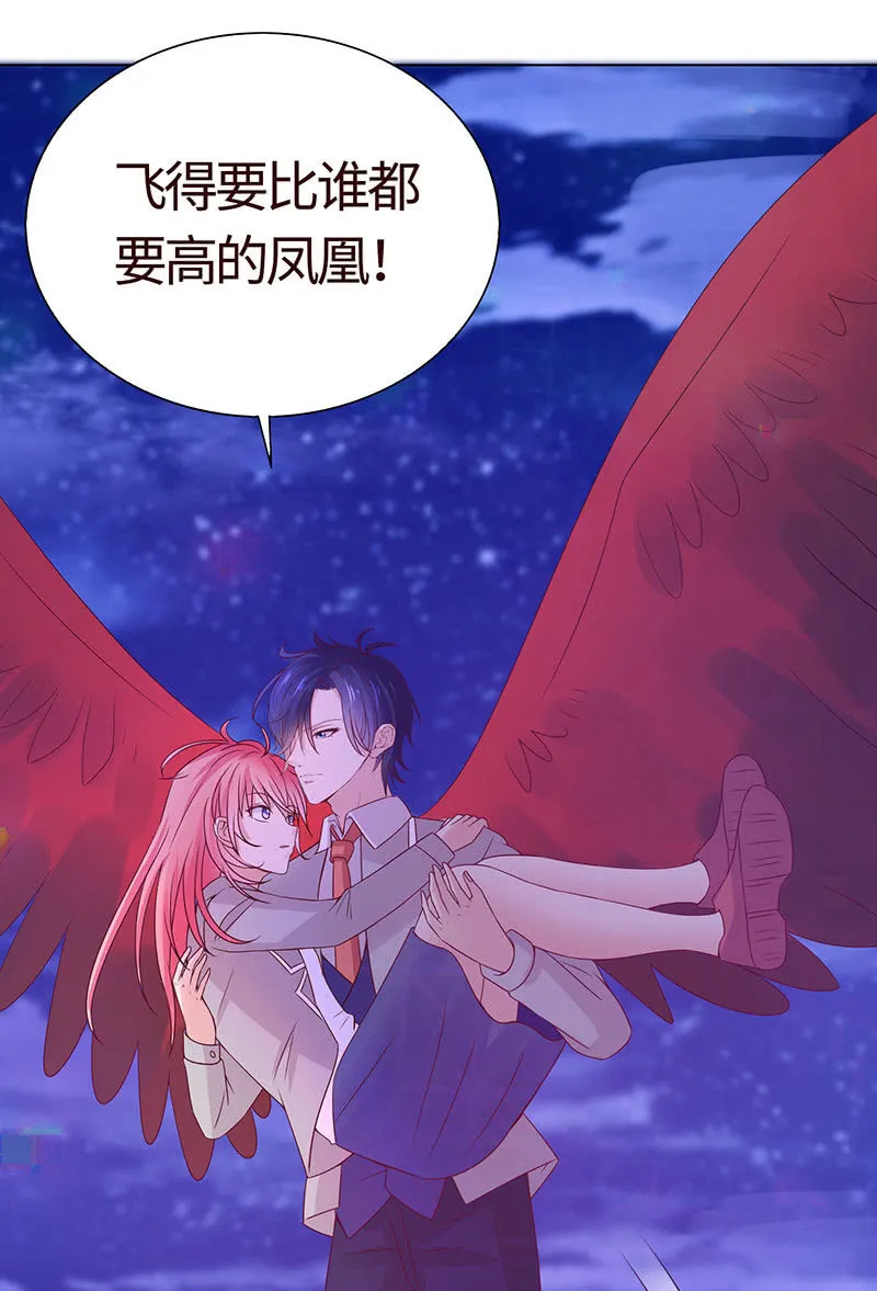不飞翔就会死 第15页