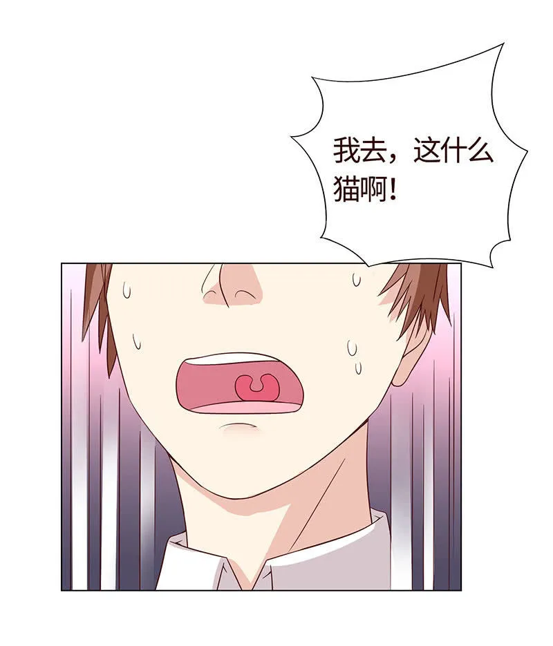 引蛇出洞 第27页