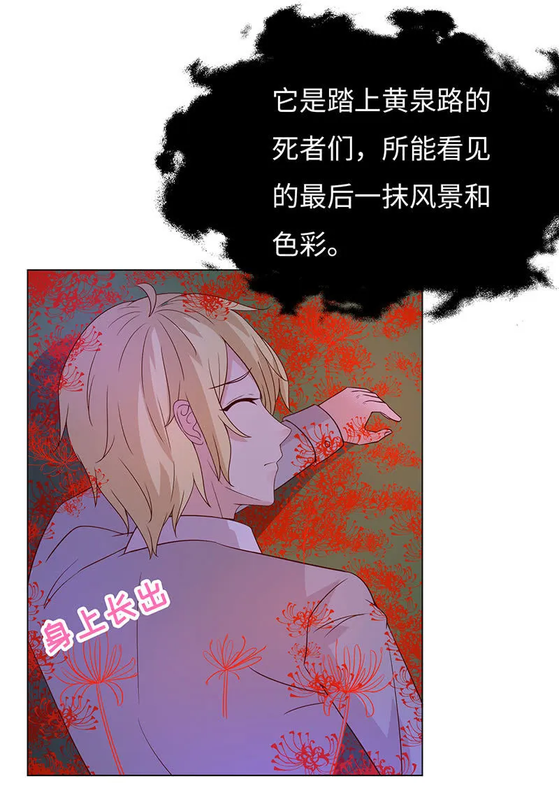 青鸾 第25页
