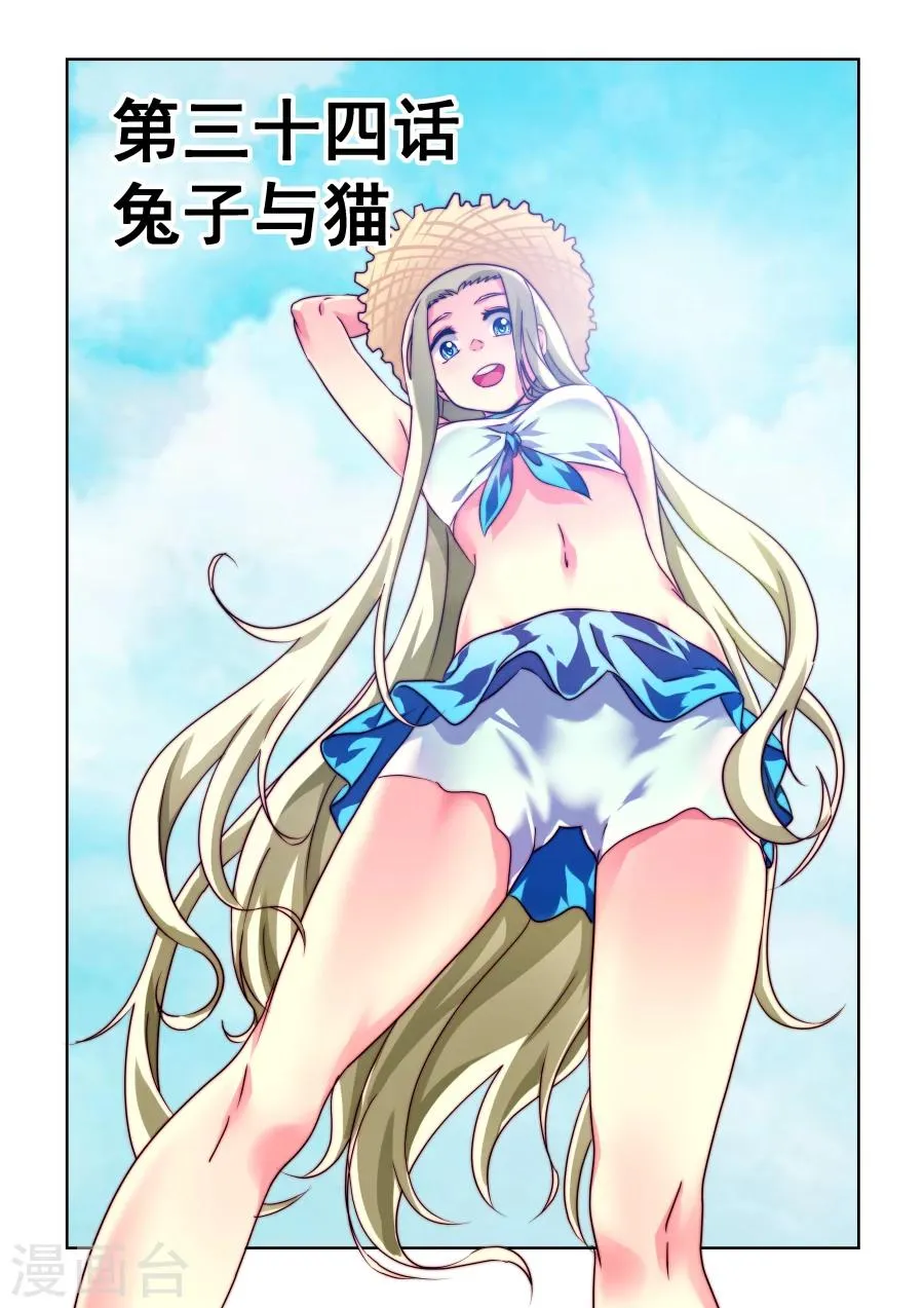 第34话 兔子与猫 第1页