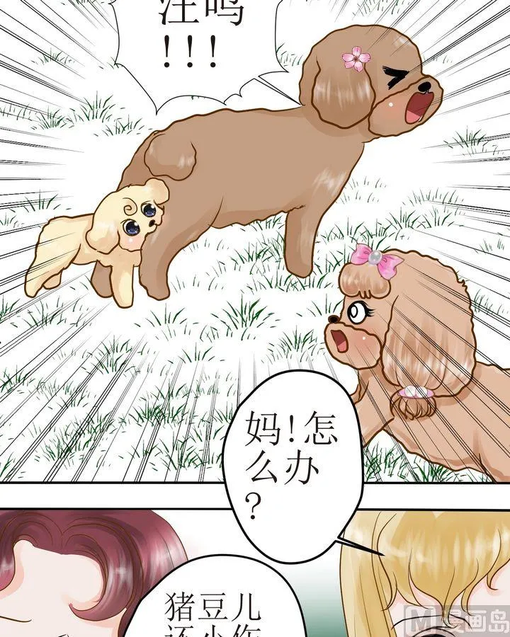 第29话 毛小孩的战斗（下） 第2页