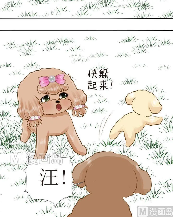 第29话 毛小孩的战斗（下） 第6页