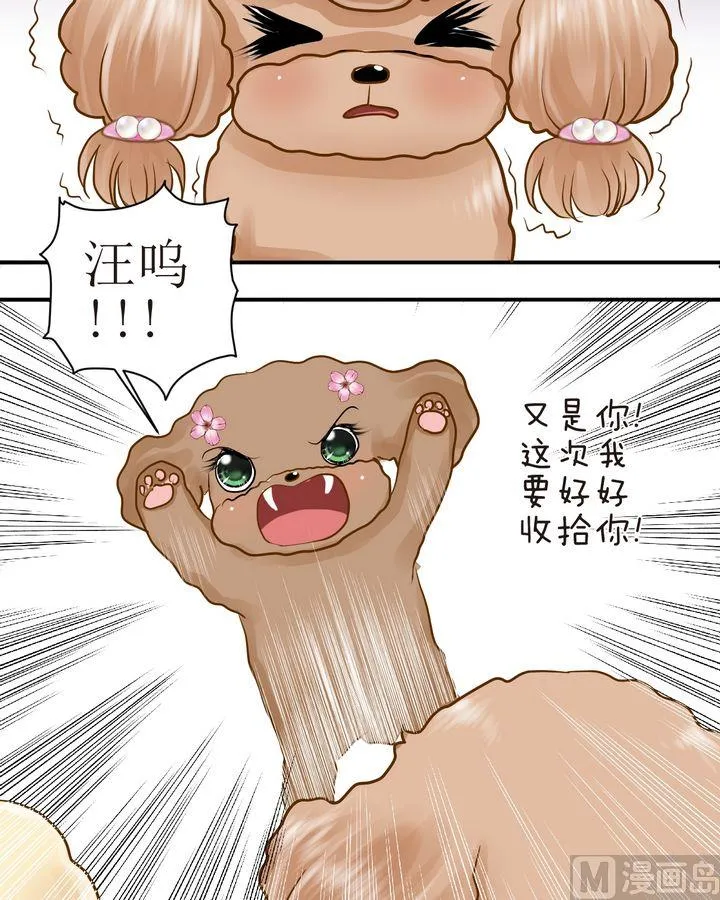 第28话 毛小孩的战斗（上） 第3页