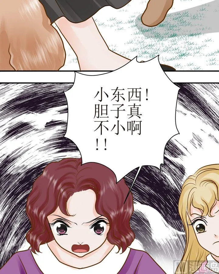 第28话 毛小孩的战斗（上） 第5页