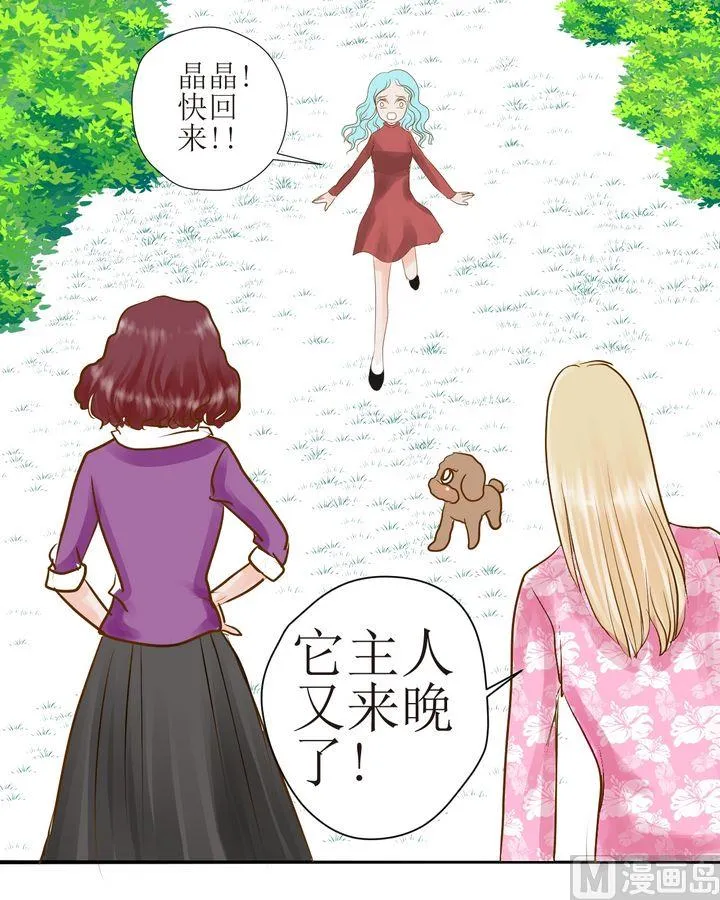 第28话 毛小孩的战斗（上） 第8页