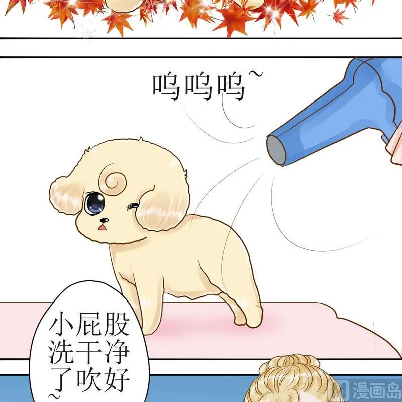 第24话 乖，摸摸头 第2页