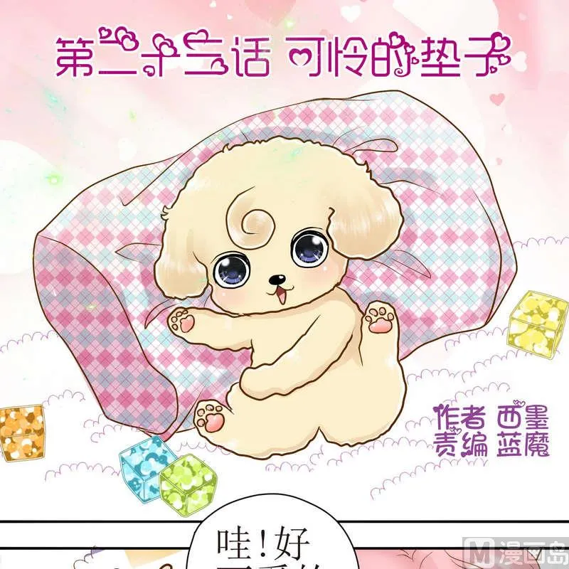 第23话 可怜的垫子 第1页