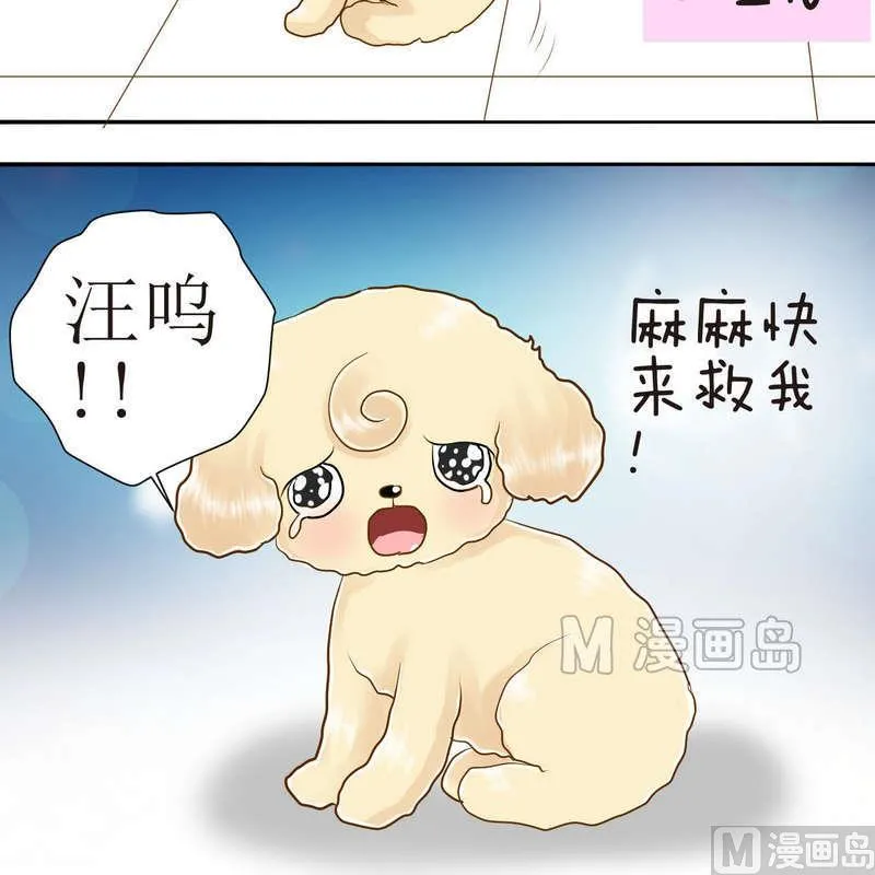 第23话 可怜的垫子 第8页