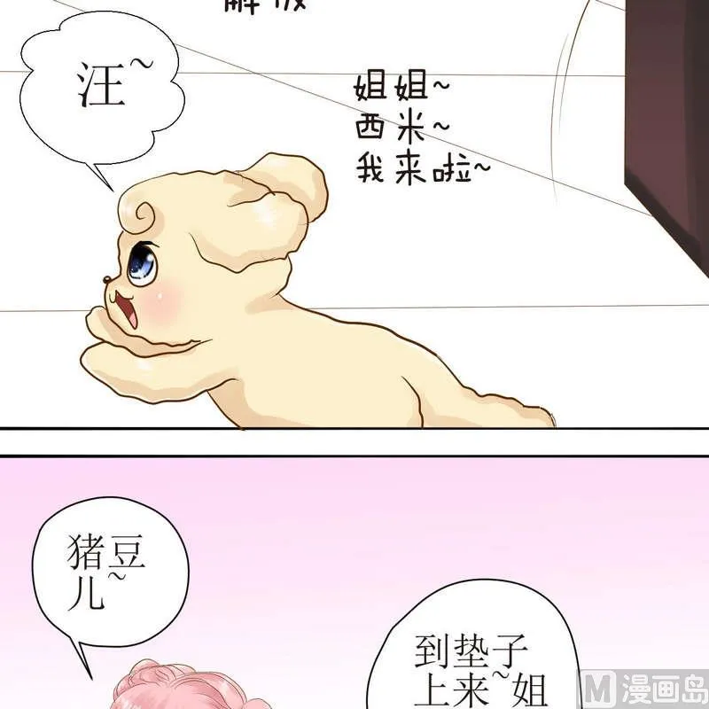 第23话 可怜的垫子 第14页