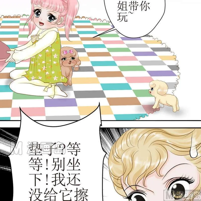 第23话 可怜的垫子 第15页