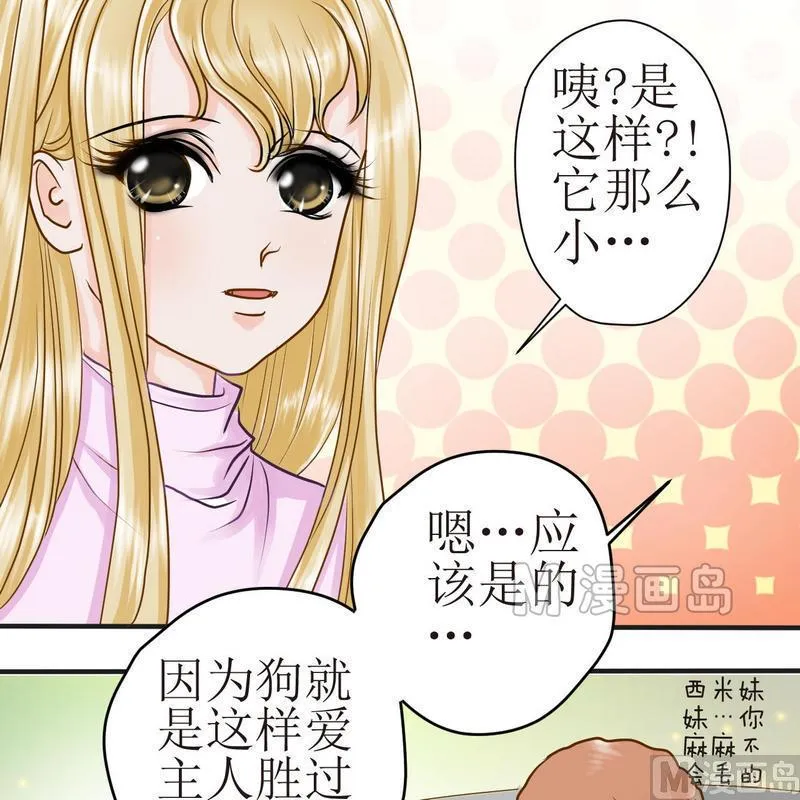 第21话 狗狗心事（上） 第5页