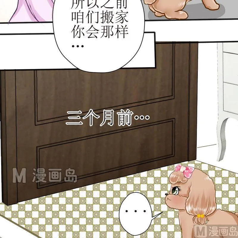 第21话 狗狗心事（上） 第8页