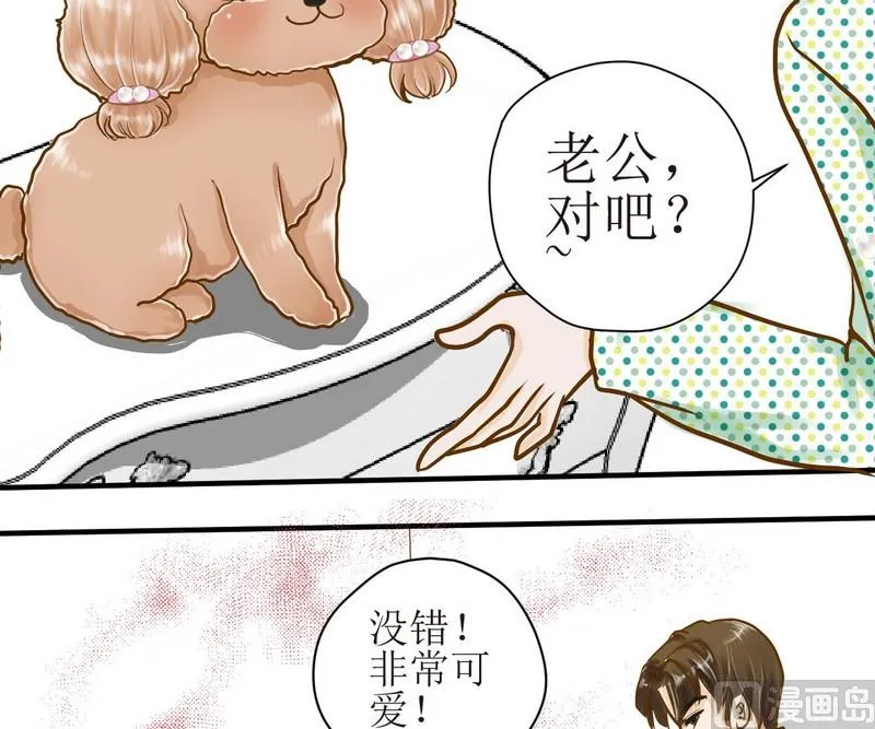 第8话 汝名猪豆儿 第3页