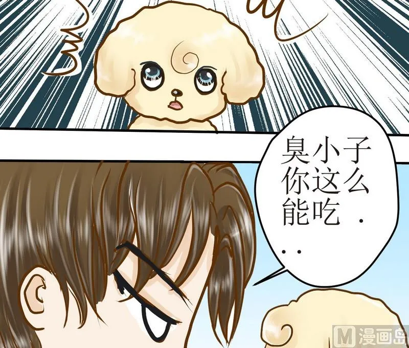 第8话 汝名猪豆儿 第19页