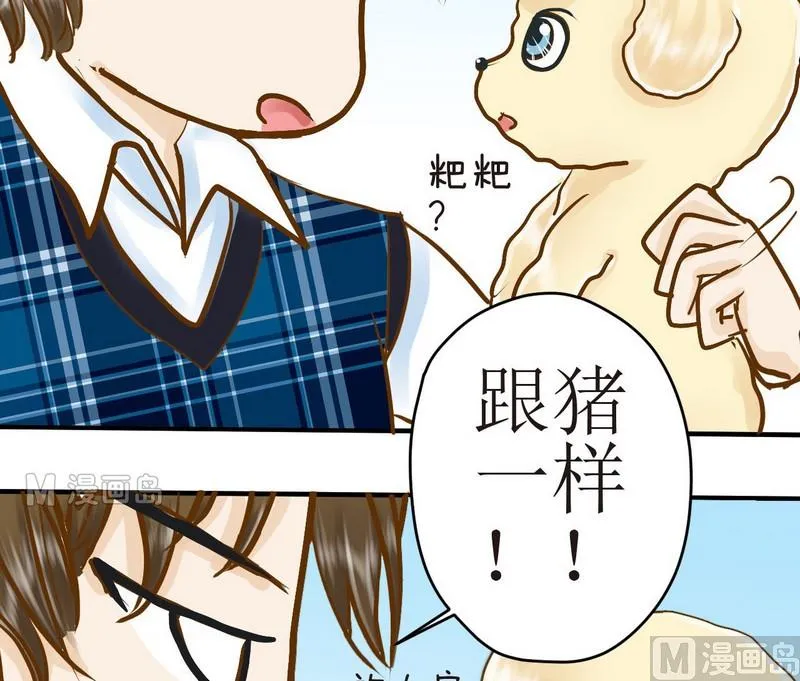 第8话 汝名猪豆儿 第20页